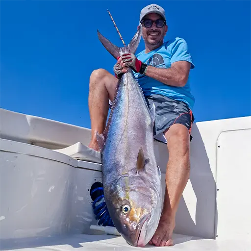 Pescata una una ricciola di circa 45 kg